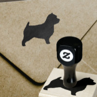 Norwich Terrier Dog Breed