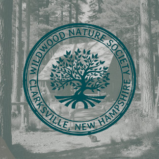 Tampons Encreurs Oak Tree Rustique Adresse frontalière Nature et af