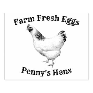 Tampons Encreurs OEufs frais de ferme Votre nom Poulets poules de p