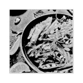 Tampons Encreurs OEuvre de Ramen (Impression)