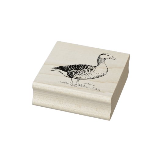 Tampons Encreurs Oie (Tampon)