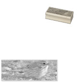 Tampons Encreurs Oiseau du Bruant (Tamponné)