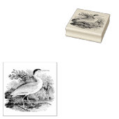Tampons Encreurs Oiseau vintage (Tamponné)