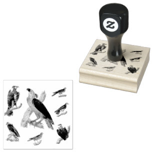 Tampons Encreurs Oiseaux de Joty Scrapbooking mélangé