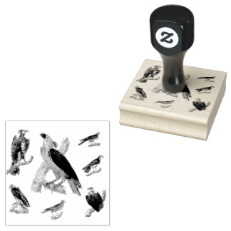 Tampons Encreurs Oiseaux de Joty Scrapbooking mélangé