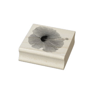 Tampons Encreurs Orange Hibiscus Fleur Tropical Floral