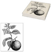 Tampons Encreurs Orange sur branche avec fleurs (Tamponné)