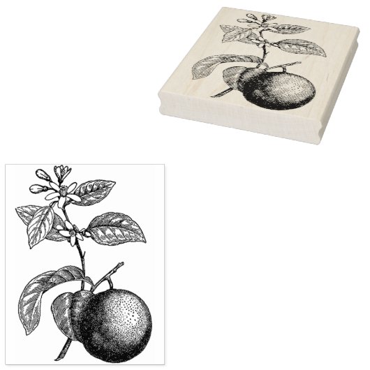 Tampons Encreurs Orange sur branche avec fleurs (Tamponné)