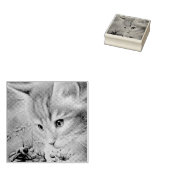 Tampons Encreurs Orange Tabby Kitten & Bumblebee Aquarelle Art (Tamponné)