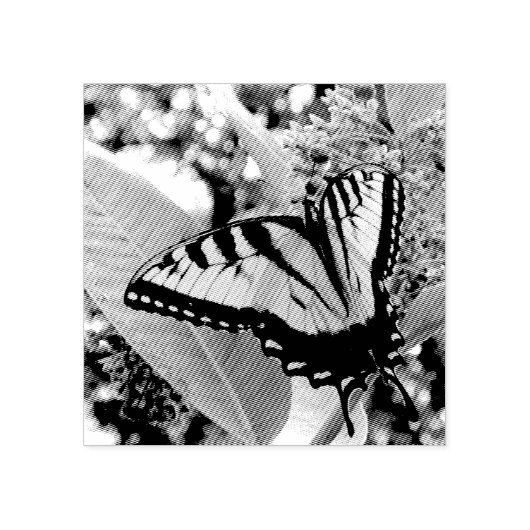 Tampons Encreurs Papillon Swallowtail I sur Milkweed à Shenandoah (Impression)