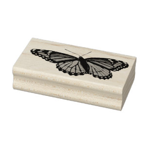 Tampons Encreurs Papillon Viceroy Belle photographie de la nature