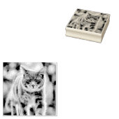 Tampons Encreurs Peinture de chat (Tamponné)