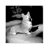 Tampons Encreurs Pembroke Welsh Corgi (Impression)