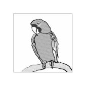 Tampons Encreurs Perroquet (Impression)