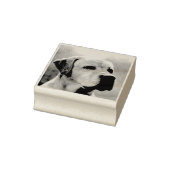 Tampons Encreurs Personnalisé Animaux De Compagnie Ou Toute Autre P (Tampon)