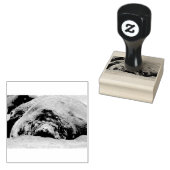 Tampons Encreurs Phoque d'éléphant dormant (Tamponné)