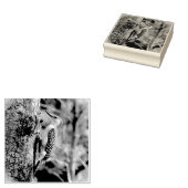 Tampons Encreurs Pic à ventre rouge (Tamponné)