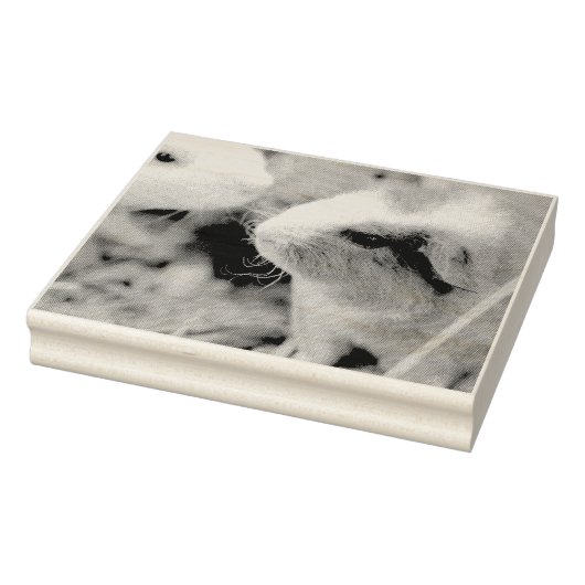 Tampons Encreurs Piggy (Tampon)