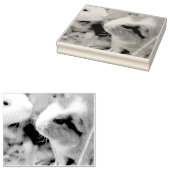 Tampons Encreurs Piggy (Tamponné)