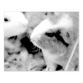 Tampons Encreurs Piggy (Impression)