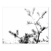 Tampons Encreurs Pine Cône membres Design (Impression)