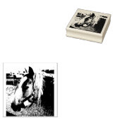Tampons Encreurs Pony Close Photo Timbre en caoutchouc (Tamponné)
