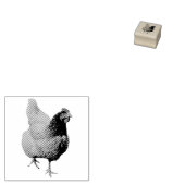 Tampons Encreurs Poule / Poulet (Tamponné)