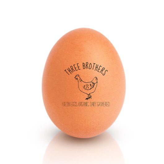 Tampons Encreurs Poulets dessinés à la main Petits oeufs de ferme