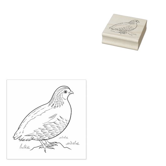 Tampons Encreurs Queue (Tamponné)