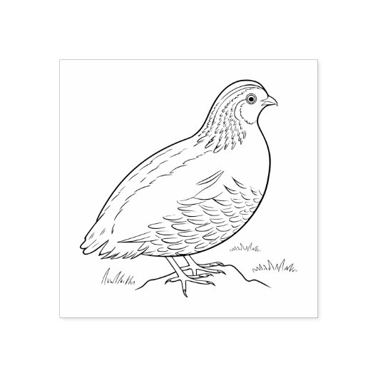 Tampons Encreurs Queue (Impression)