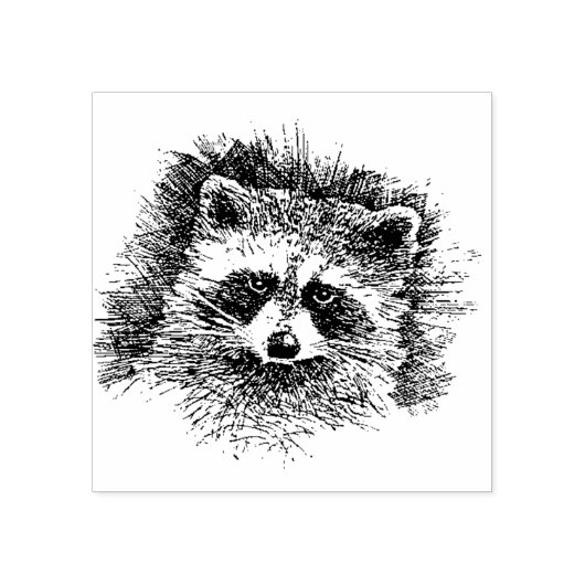 Tampons Encreurs Raccoon Face Nouveau Timbre En Caoutchouc Monté (Impression)