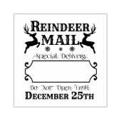 Tampons Encreurs Reindeer Mail Special Delivery (Impression)