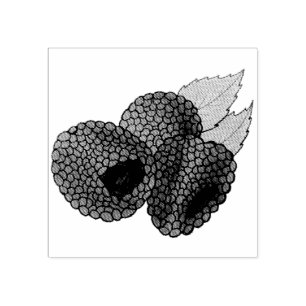 Tampons Encreurs Ripe Fruit Fruit Fruit Fruit Fruit Fruit Été Fraîc