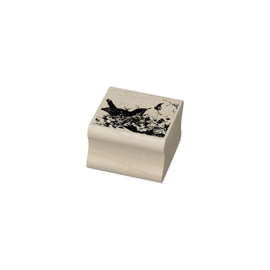 Tampons Encreurs Robin de ressort (Tampon)
