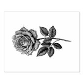 Tampons Encreurs Rose (Impression)