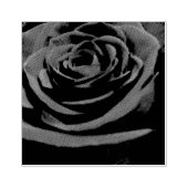 Tampons Encreurs Rose (Impression)