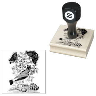 Tampons Encreurs Roue Bilberry Camberwell Birds Scrapbooking