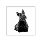 Tampons Encreurs Scottish terrier joli vue avant-assise joyeuse (Impression)