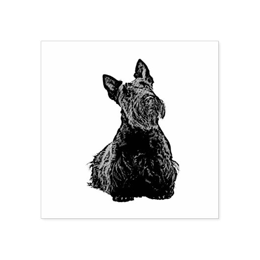 Tampons Encreurs Scottish terrier joli vue avant-assise joyeuse (Impression)