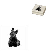 Tampons Encreurs Scottish terrier joli vue avant-assise joyeuse (Tamponné)