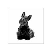 Tampons Encreurs Scottish terrier joli vue avant-assise joyeuse (Impression)