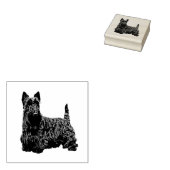 Tampons Encreurs Scottish terrier jolie vue frontale joyeuse (Tamponné)