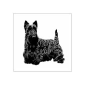 Tampons Encreurs Scottish terrier jolie vue frontale joyeuse (Impression)
