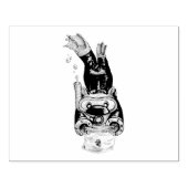 Tampons Encreurs Scuba (Impression)