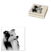 Tampons Encreurs Shetland Sheepdog (Tamponné)