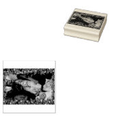 Tampons Encreurs SlipperyJoe mâle poitrine six pack estomac torse n (Tamponné)