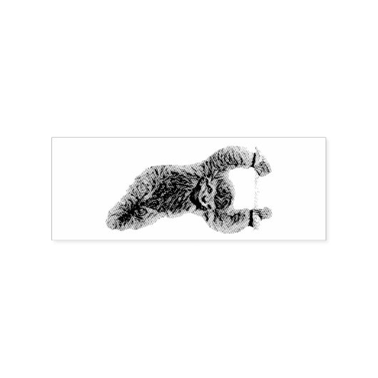 Tampons Encreurs Sloth Hanging Out Thunder_Cove (Impression)