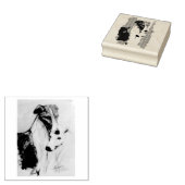 Tampons Encreurs Soul Mates (Tamponné)