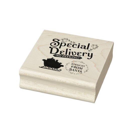 Tampons Encreurs Special Delivery Straight from Santa (Tampon)