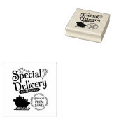 Tampons Encreurs Special Delivery Straight from Santa (Tamponné)